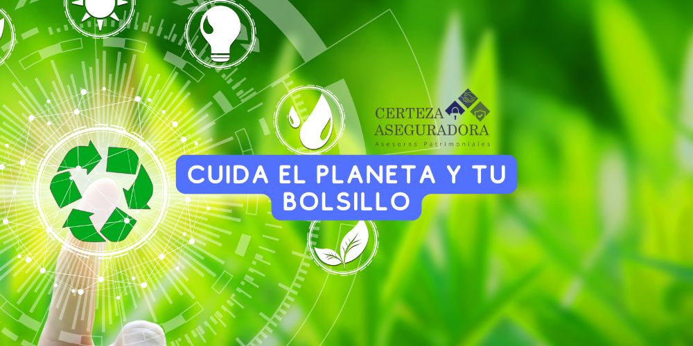 Cuidar el Planeta y tu Bolsillo: Día Mundial de la Educación Ambiental