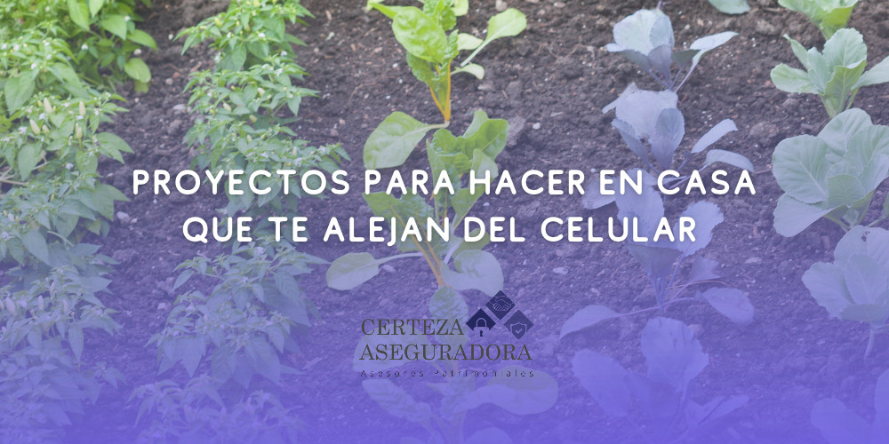 Proyectos para hacer en casa que te alejan del celular y te dan salud mental