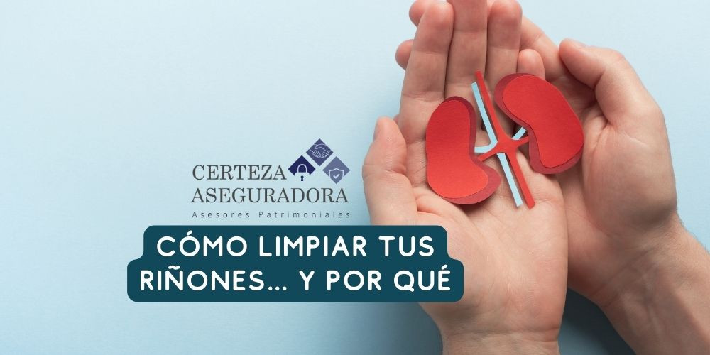 Cómo Limpiar tus Riñones… Y Por Qué