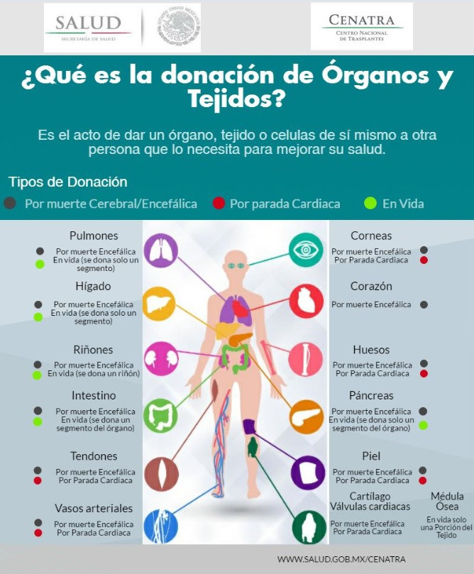 ¿Cuántas Personas en México Necesitan un Trasplante?